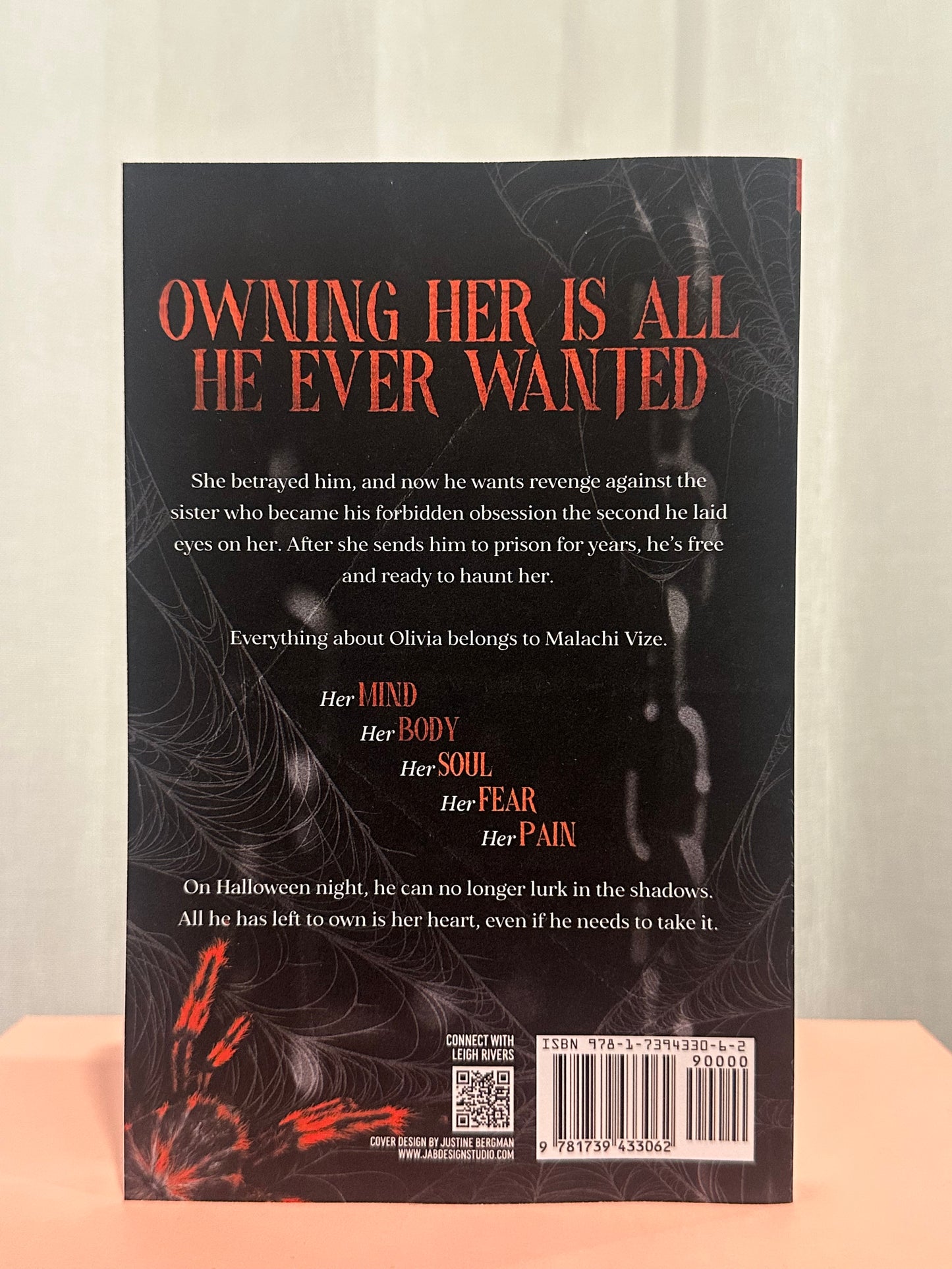 Little Stranger: A Dark Taboo Romance (Book 1: The Web of Silence Duet)