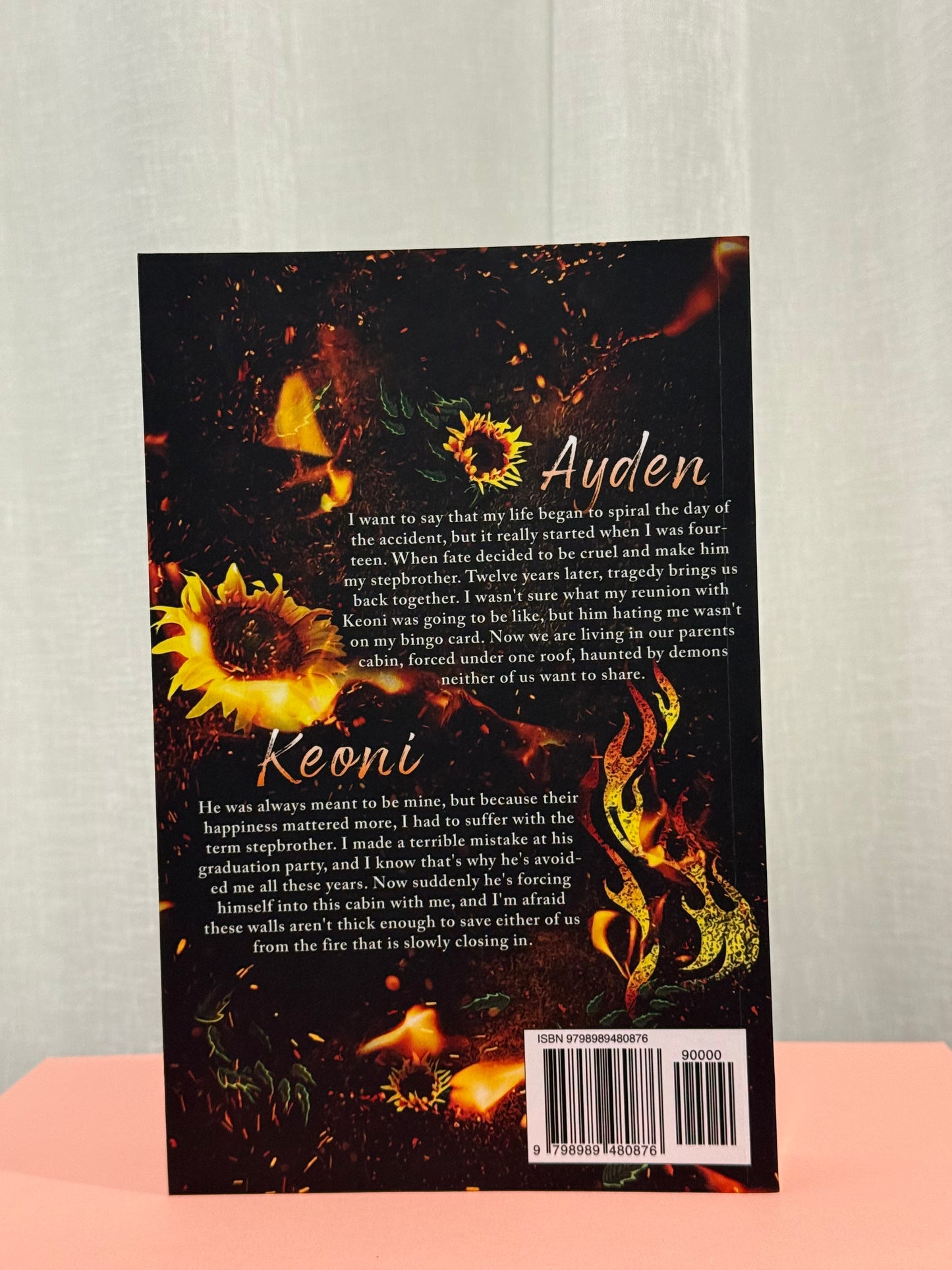 Hollow (Book 2: Neighbors of Sapphire Valley)