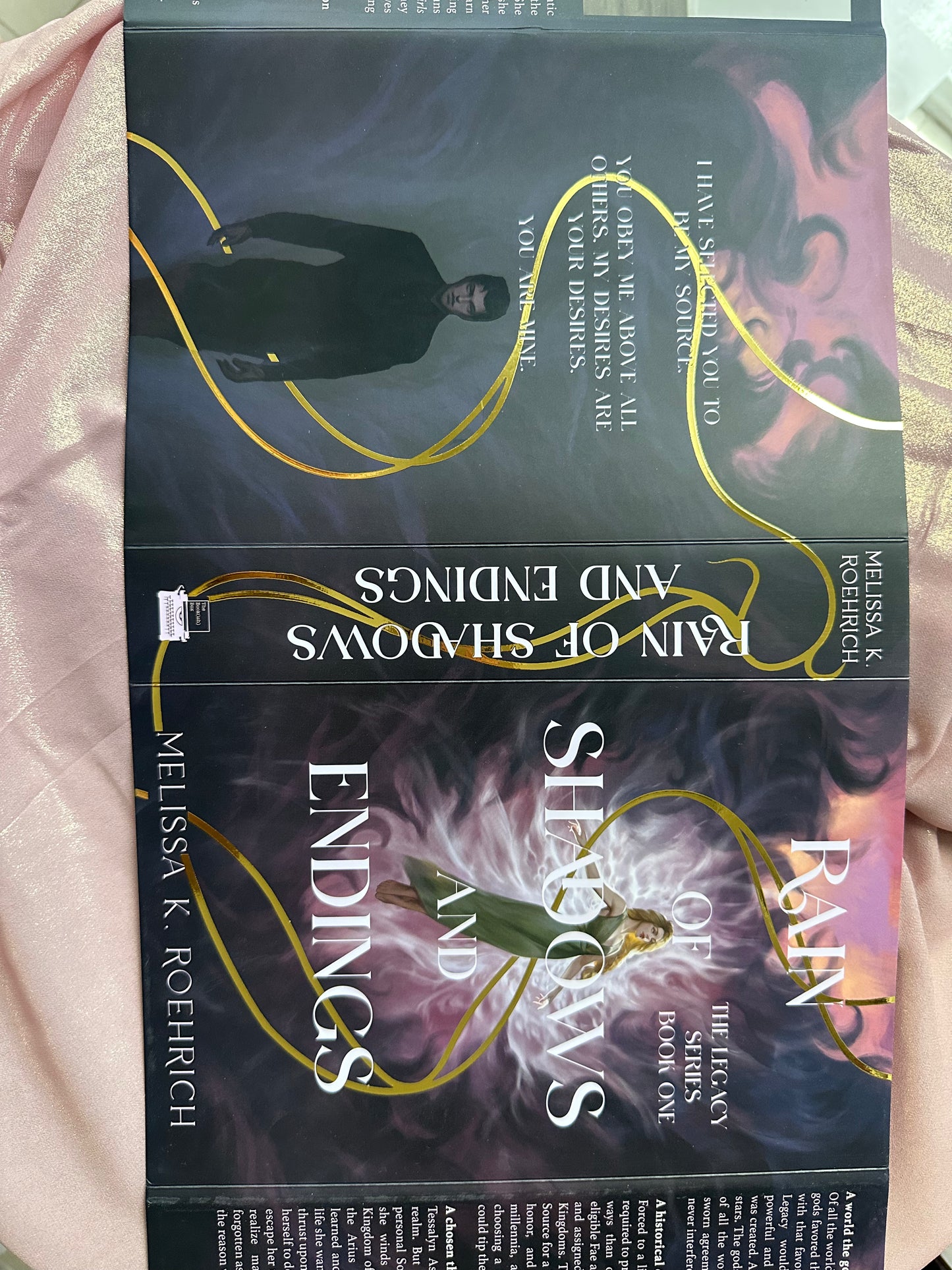 Rain of Shadows and Endings - Bookish Box